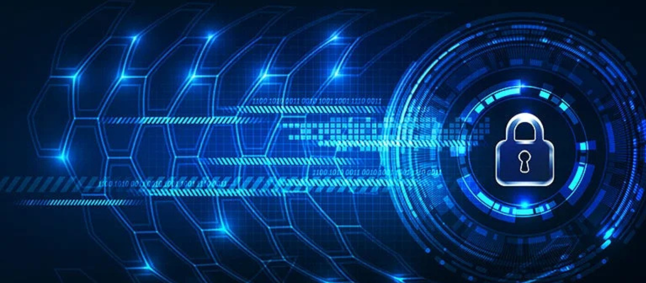 IT Security Consultancy services